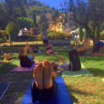 cours de yoga