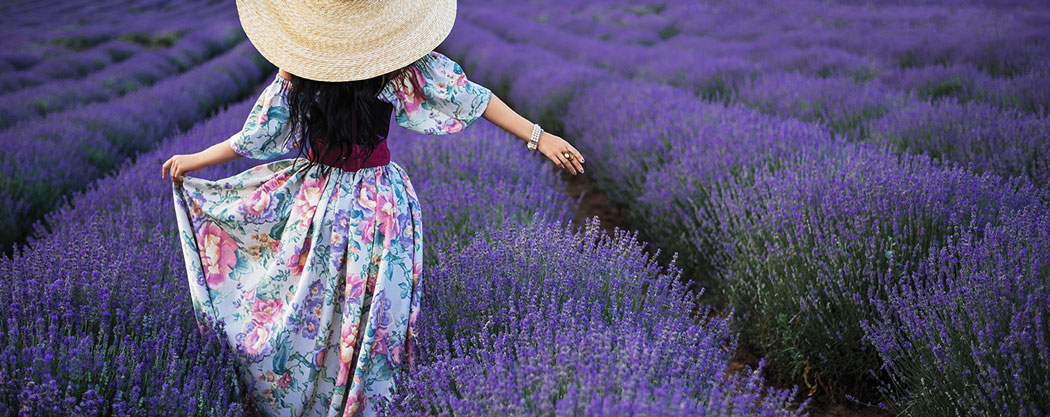 fête de la lavande valensole