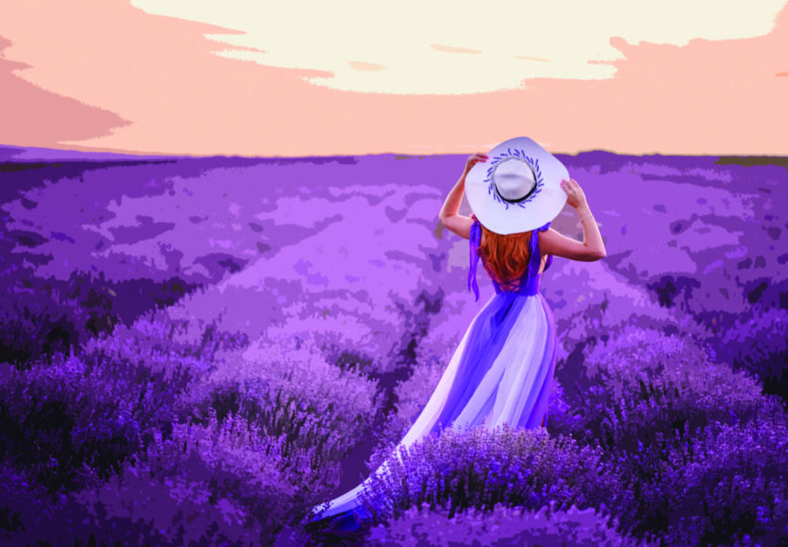 Fête de la lavande - Valensole 2025
